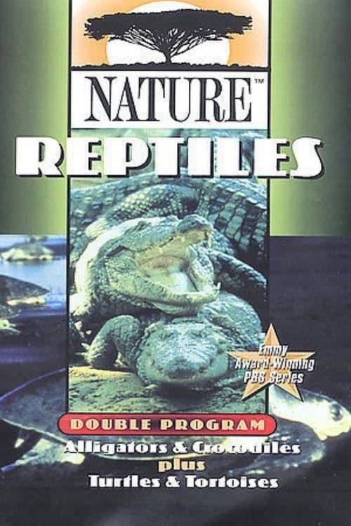 The Reptiles: Alligators & Crocodiles