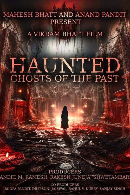 Haunted 3D: Echoes of the Past
