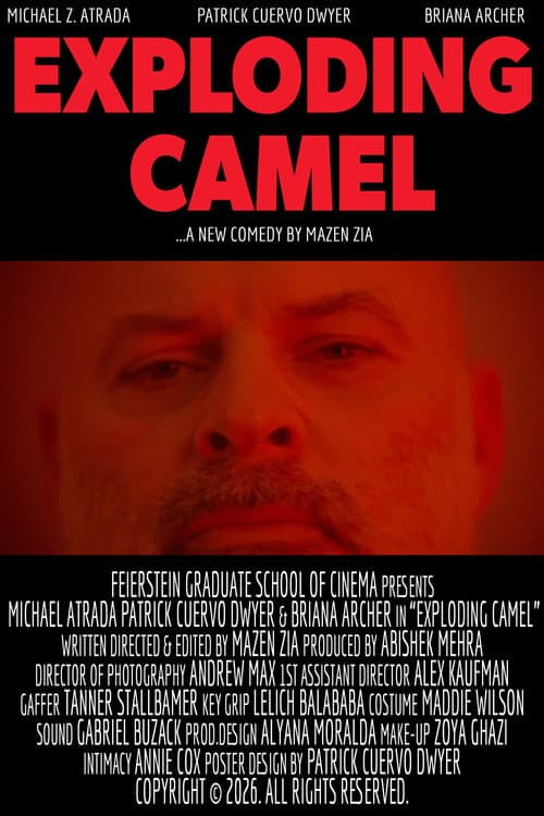 Exploding Camel