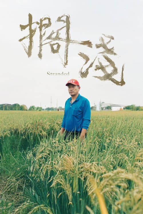 擱淺