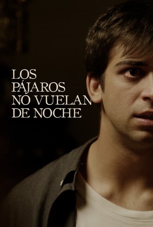 Los pájaros no vuelan de noche