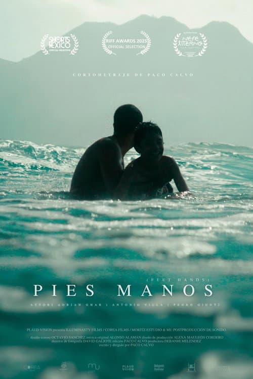 Pies, manos