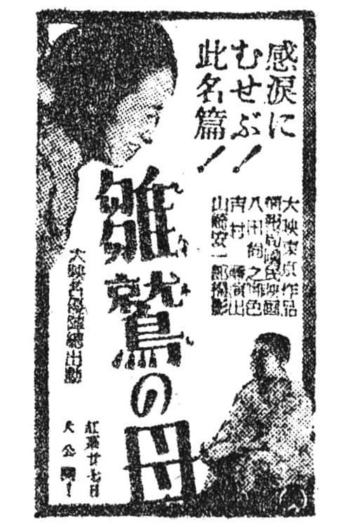 雛鷲の母