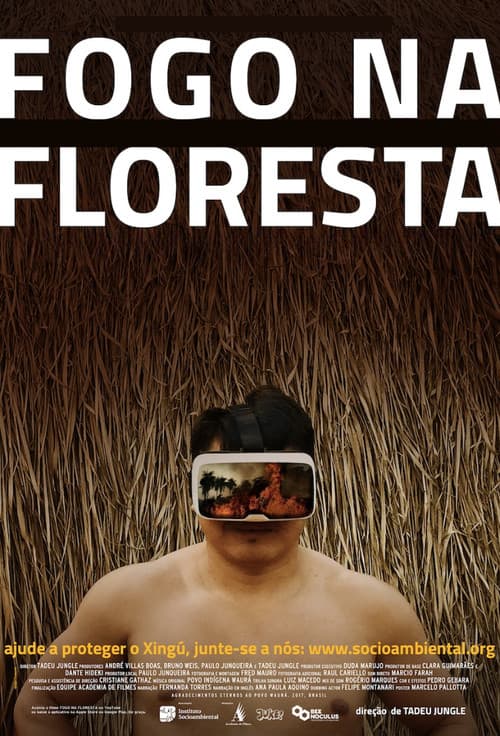 Fogo na Floresta