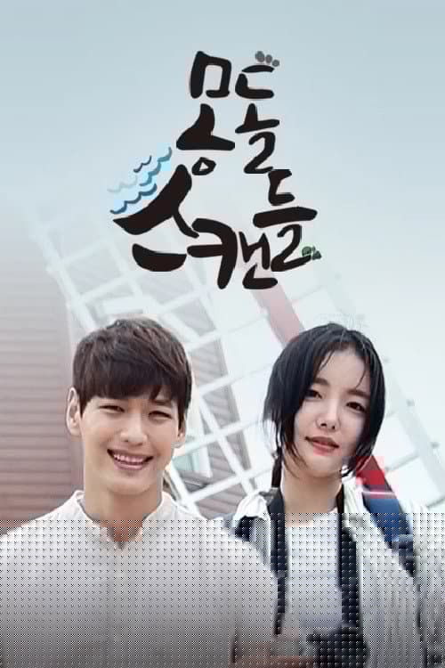몽돌 스캔들