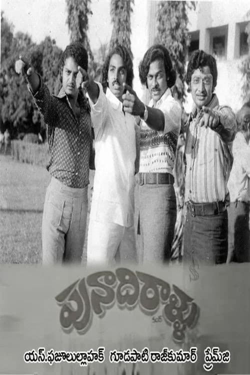 Punadhirallu