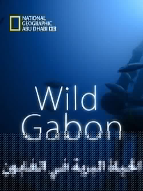 Wild Gabon