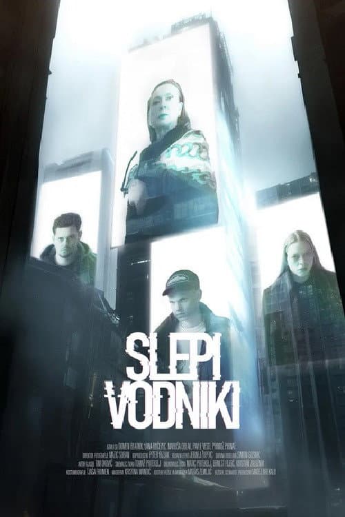 Slepi vodniki