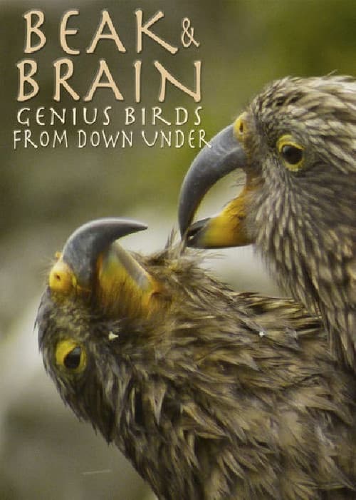 Ces drôles d'oiseaux, pas si bêtes que ça !