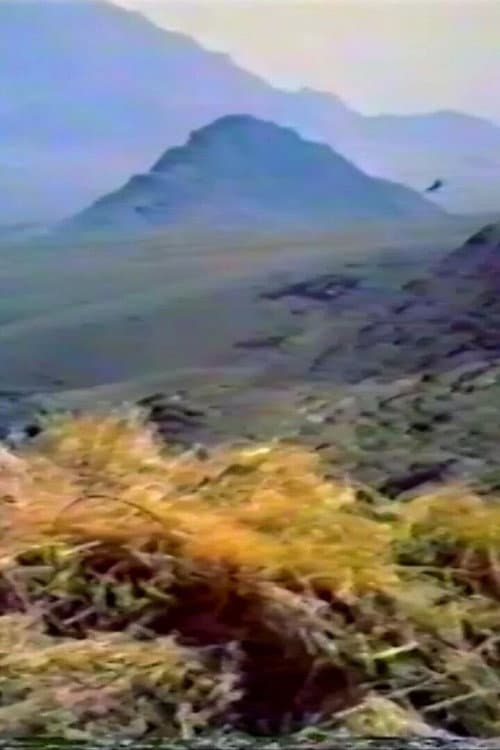به کوه مهربان بیندیش