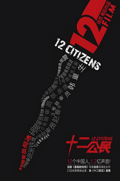 十二公民