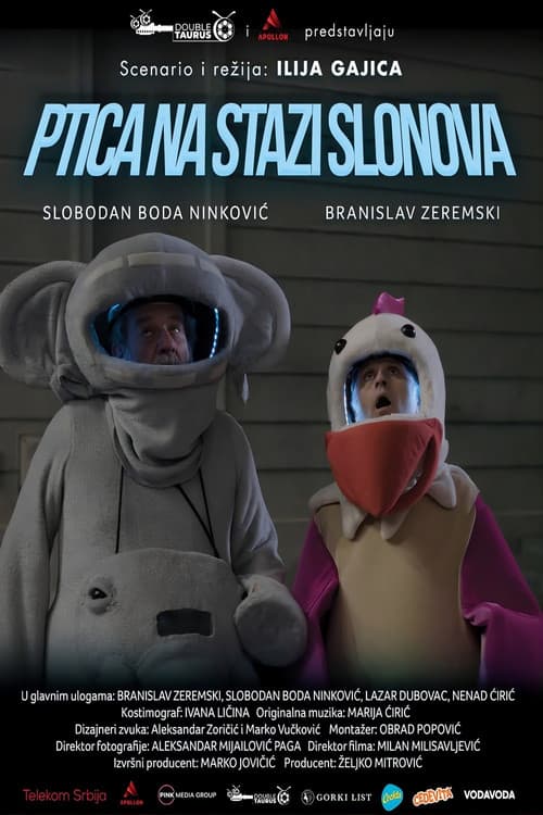 Ptica na stazi slonova