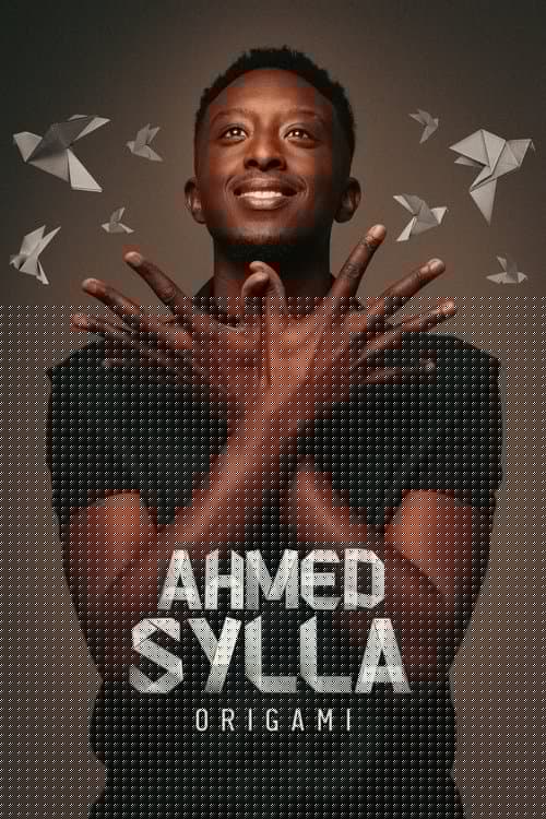 Ahmed Sylla - Origami