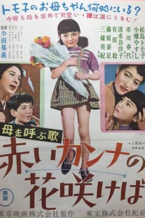 赤いカンナの花咲けば