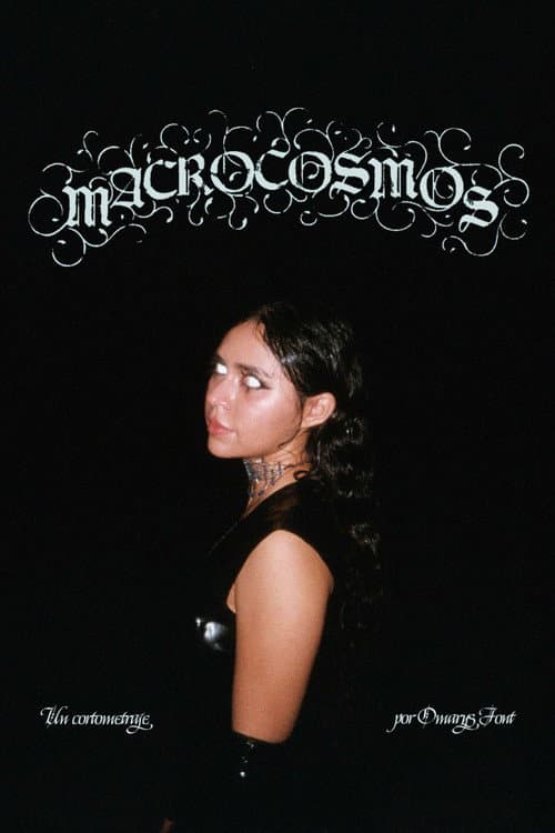 Macrocosmos