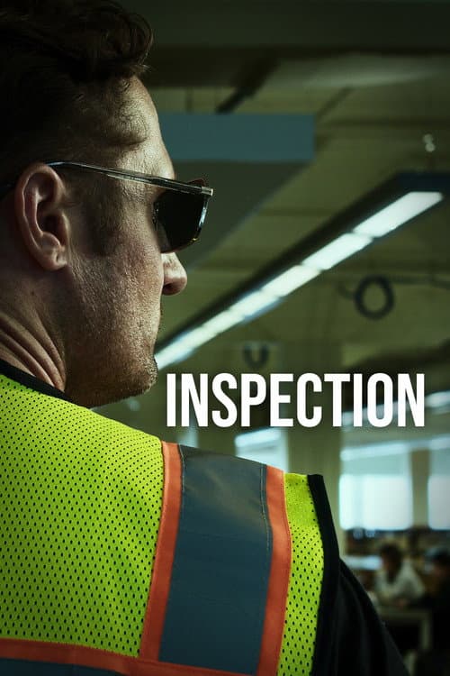 Inspection