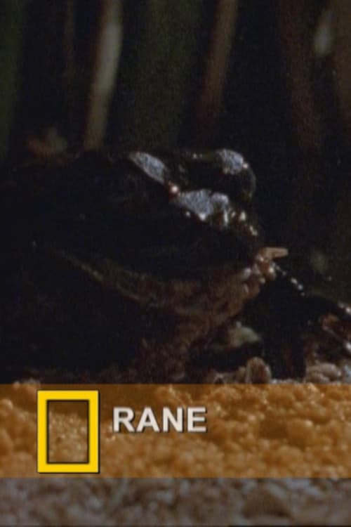Fearsome Frogs