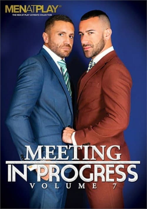 Meeting in Progress 7