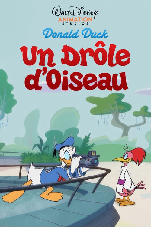 Un Drôle d'Oiseau