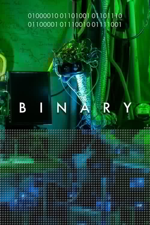 Binary