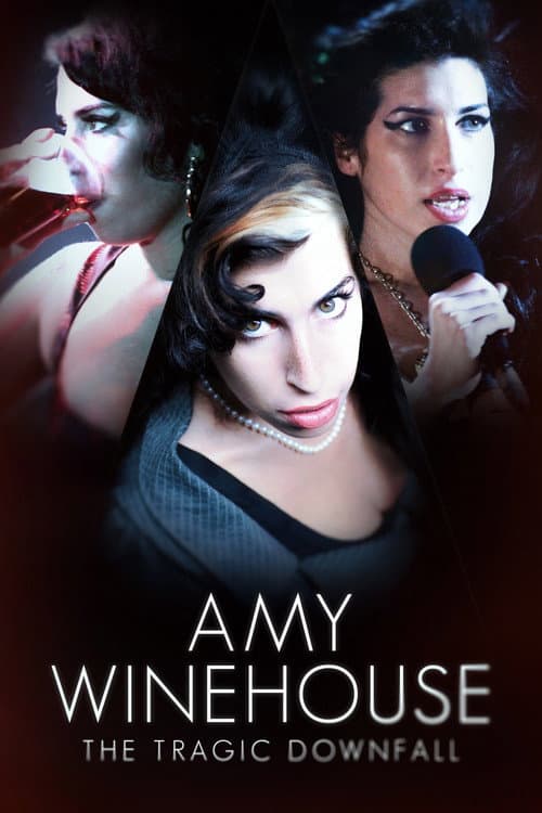 Amy Winehouse : la descente aux enfers