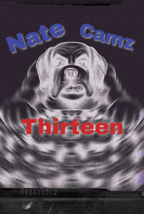 Natecamz 13