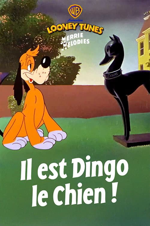 Il est dingo le chien
