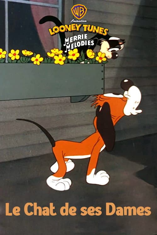 Le chat de ces dames