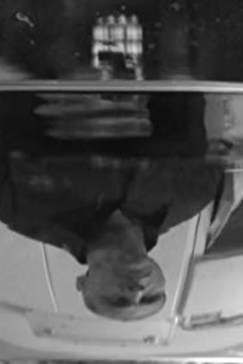 ماهی و من
