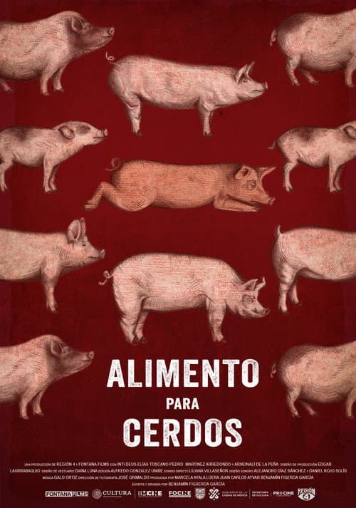 Alimento para cerdos