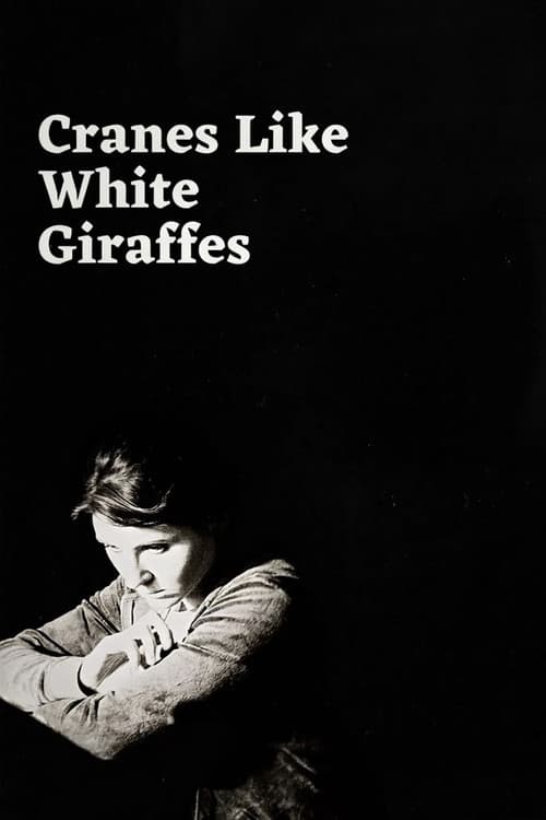 Cranes Like White Giraffes