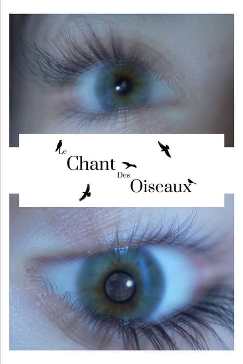 Le Chant Des Oiseaux
