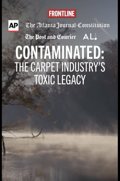 Contaminated: The Carpet Industry's Toxic Legacy