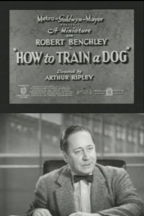 How to Train a Dog