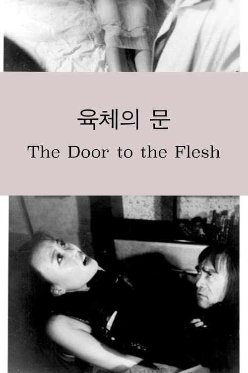 육체의 문