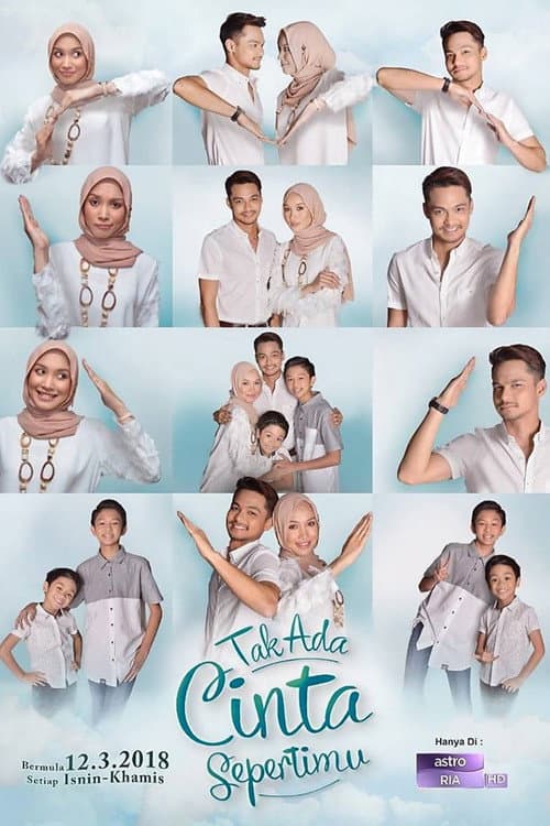 Tak Ada Cinta Sepertimu