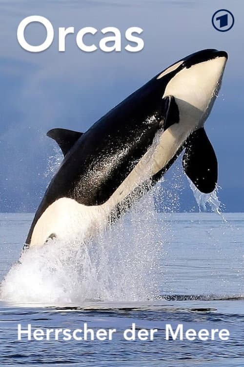 Orcas - Herrscher der Meere