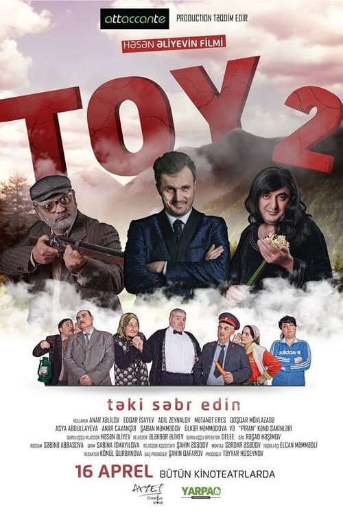 Toy 2