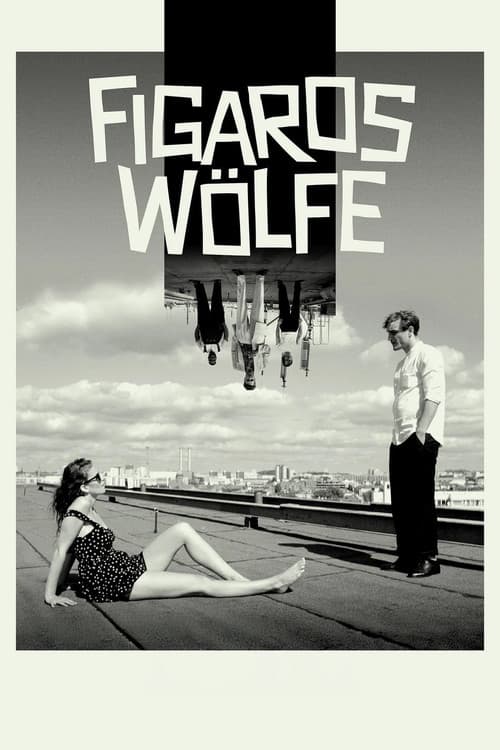 Figaros Wölfe