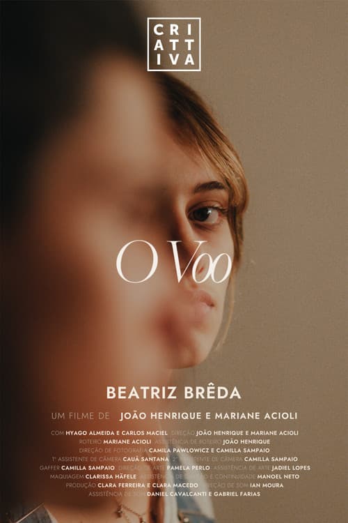 O Voo