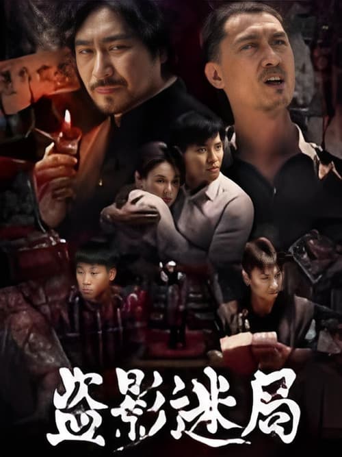 盗影迷局