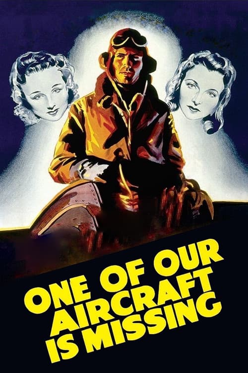 Un de nos avions n'est pas rentré
