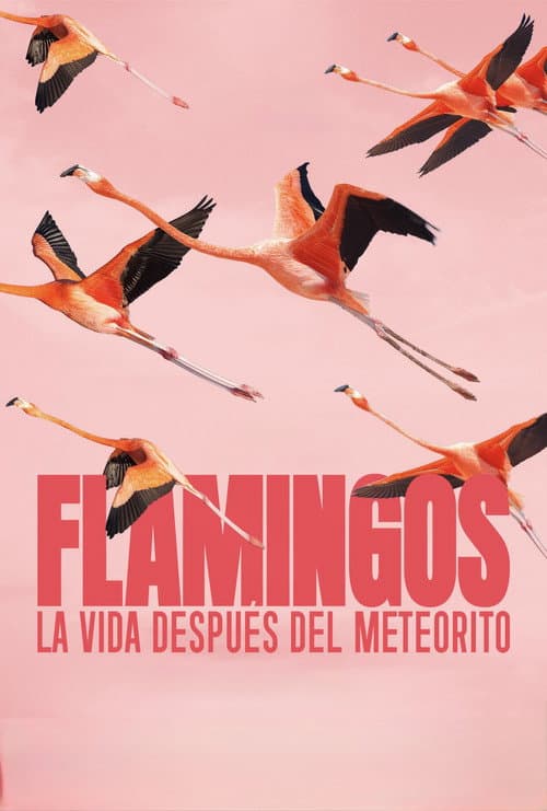 Flamingos: La vida después del meteorito