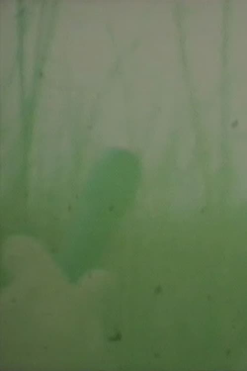 Oto o Karu