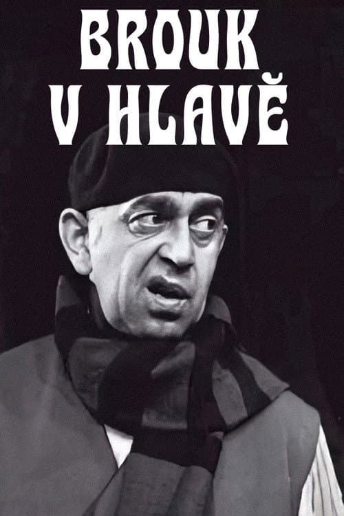 Brouk v hlavě