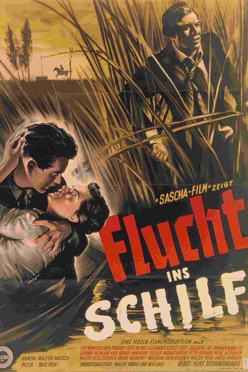 Flucht ins Schilf