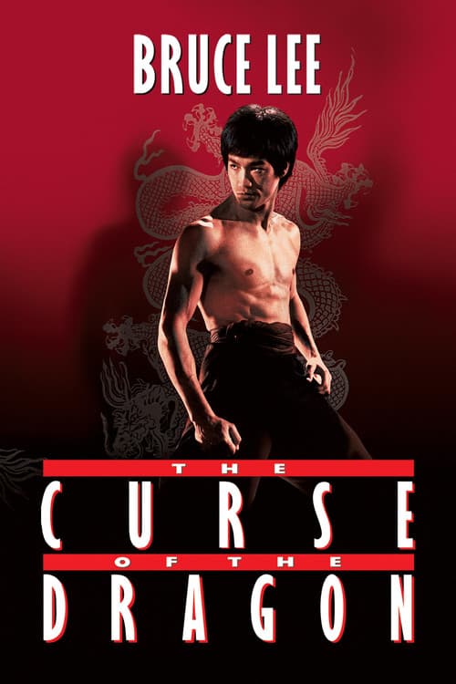 Bruce Lee, la malédiction du dragon