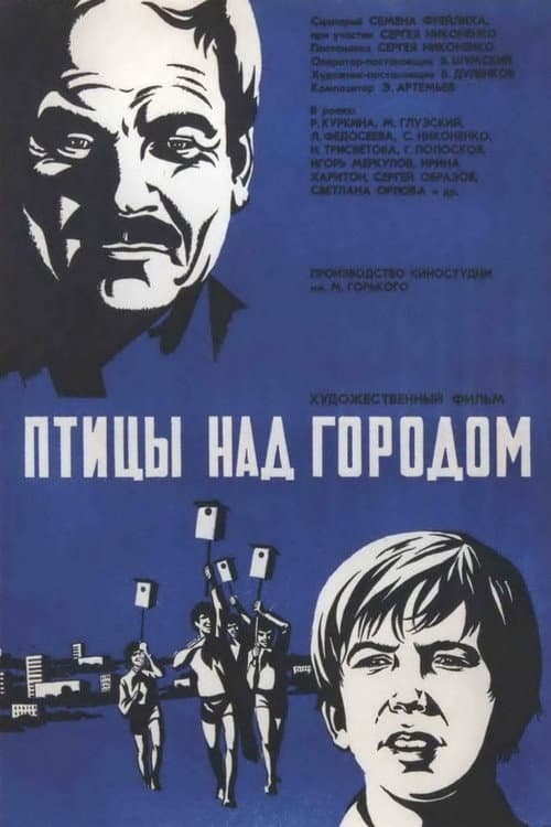 Птицы над городом