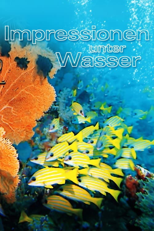 Impressionen unter Wasser