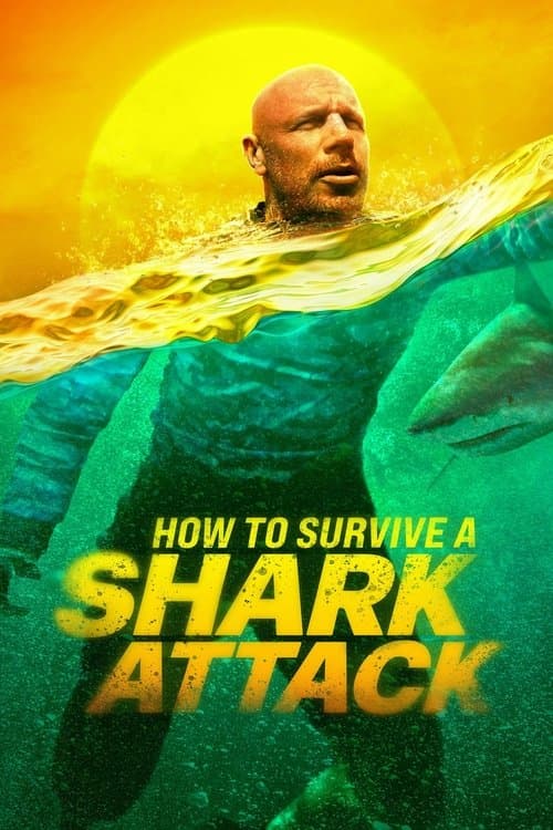 Survivre aux requins : mode d'emploi